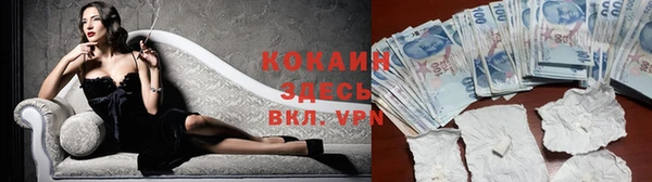 крисы Армянск