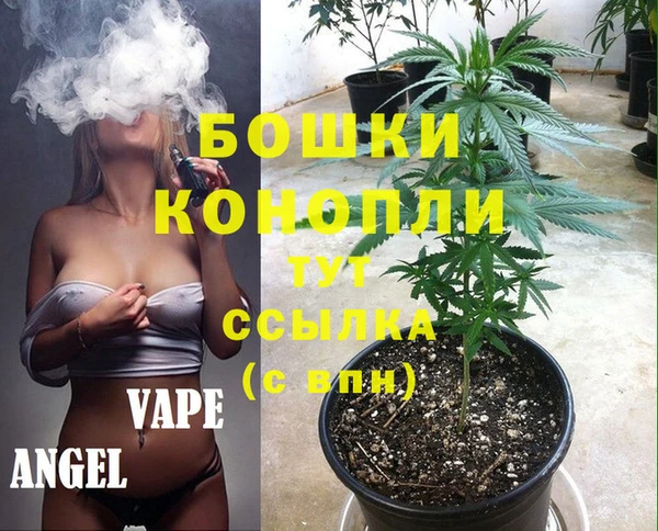 крисы Армянск
