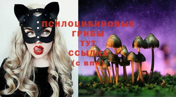 крисы Армянск