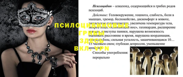 прущий лед Алексин