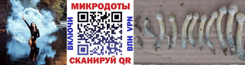 купить наркотики цена  Баймак  Галлюциногенные грибы GOLDEN TEACHER 